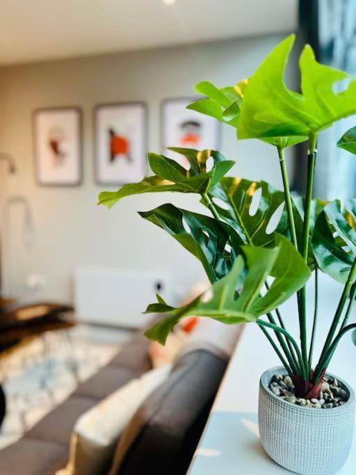 Apartamento Unique Studio Near Old Trafford Stadium - Sleeps Up To 4!